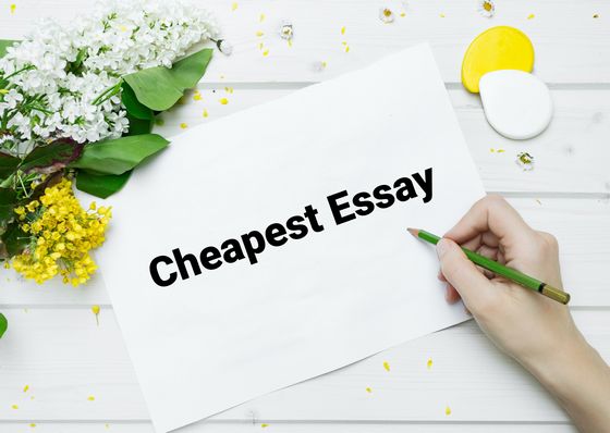 3 Ideal Essay Creating Solutions: 2023 Evaluation of U.S. University Paper Sites